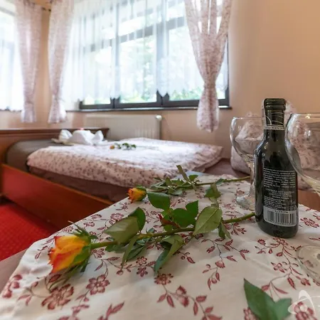 Willa Sloneczna Roza Sniadanie Parking W Centrum 3* Шклярска-Поремба