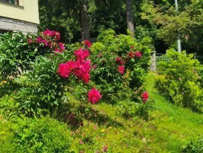 Bed & Breakfast Ze Sniadaniami Sloneczna Roza